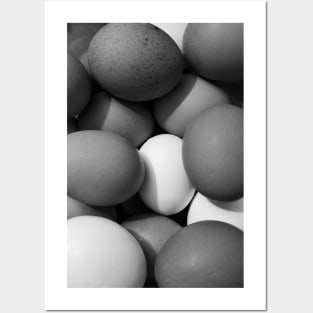 Chicken Eggs in Black and White Posters and Art